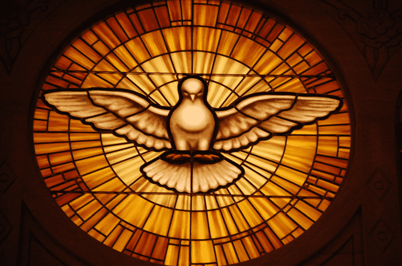 Stained glass window featuring a white dove with outstretched wings, symbolizing the Holy Spirit, surrounded by a radiating golden light pattern, representing divine presence and purity, relating to the concept of 'Qadash' in religious scriptures.