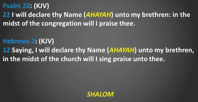 Psalm 22